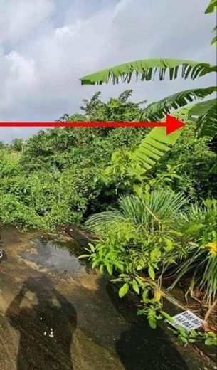 Đất Biệt Thự 152m2 nhỉnh 4 tỷ Thạnh Xuân Quận 12 TPHCM