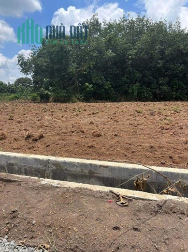 2 SÀO ĐẤT TRỒNG CÂY, HAI MẶT TIỀN, LỘC PHÚ, LỘC NINH, BP, 1,35 TỈ