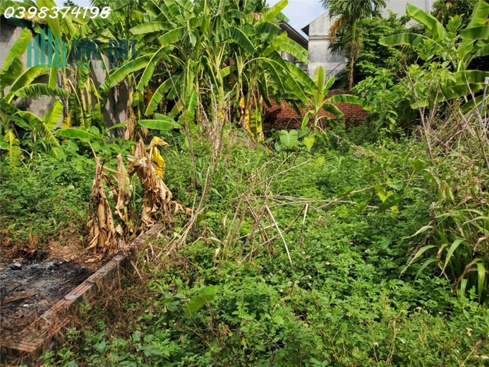 Đất Vân trì, Vân Nội diện tích nhỏ ngõ nông giá vừa tiền