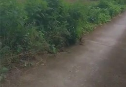 CHÍNH CHỦ CẦN BÁN LÔ ĐẤT Vị Trí Đắc Địa Tại huyện Hòa Bình, Bạc Liêu