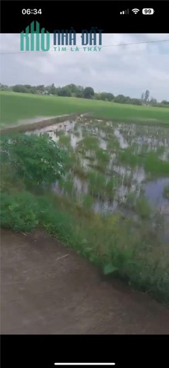 CHÍNH CHỦ CẦN BÁN LÔ ĐẤT Vị Trí Đắc Địa Tại huyện Hòa Bình, Bạc Liêu