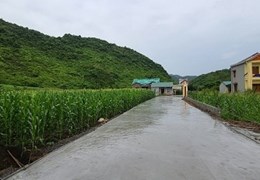 Bán đất Du lịch Cúc Phương, Nho Quan, Ninh Bình