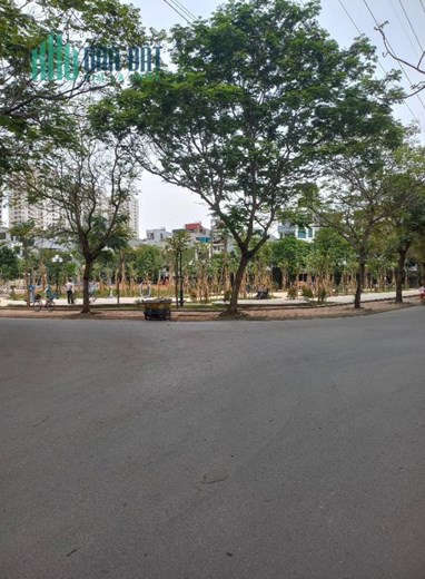 Cực hiếm 1 Lô duy nhất đấu giá Mậu Lương, Kiến Hưng 6 tỷ.