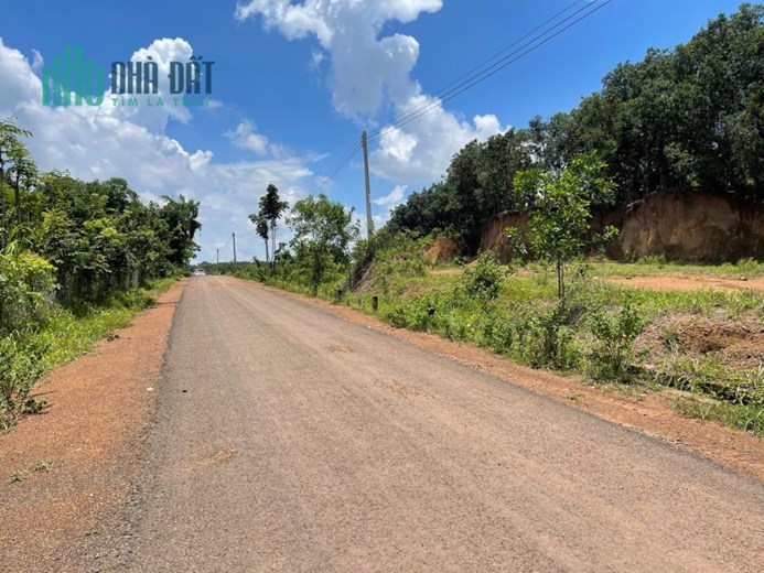 Đất Ngân hàng thanh lysd/239tr/đường nhựa