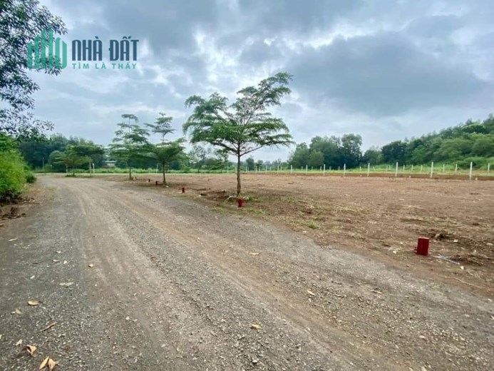 SIÊU PHẨM MỚI RA - 95tr/ 250m2