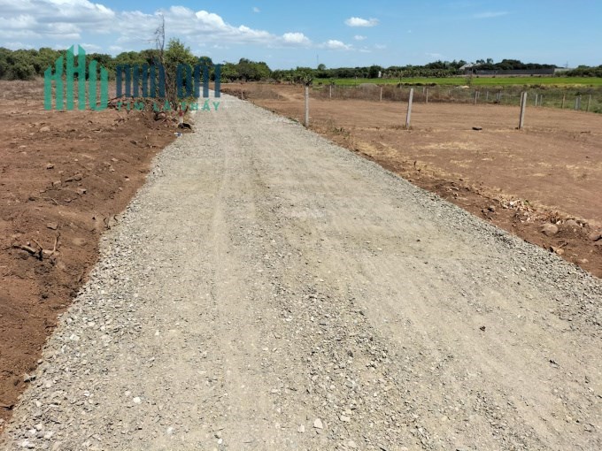 SIÊU PHẨM MỚI RA - 95tr/ 250m2