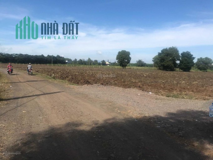SIÊU PHẨM MỚI RA - 95tr/ 250m2