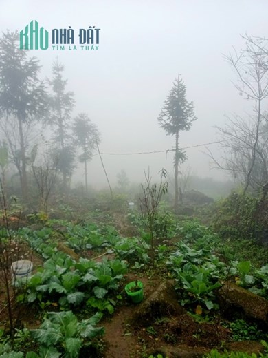 Nhanh tay sở hữu đất nền tại Tả Phìn đón sóng cao tốc Hà Nội - Sapa - Lào Cai