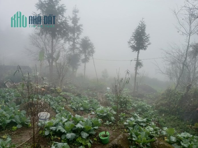 Nhanh tay sở hữu đất nền tại Tả Phìn đón sóng cao tốc Hà Nội - Sapa - Lào Cai