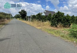 Chú tôi cần gấp miếng dất vườn trái cây sổ sẵn giá 350 triệu