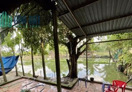 Cho thuê biệt thự sân vườn Lê Minh Nhựt, Tân An Hội, Huyện Củ Chi, TP Hồ Chí Minh, 5tr/th;