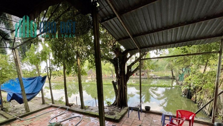 Cho thuê biệt thự sân vườn Lê Minh Nhựt, Tân An Hội, Huyện Củ Chi, TP Hồ Chí Minh, 5tr/th;
