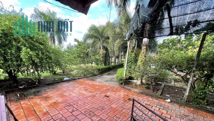 Cho thuê biệt thự sân vườn Lê Minh Nhựt, Tân An Hội, Huyện Củ Chi, TP Hồ Chí Minh, 5tr/th;