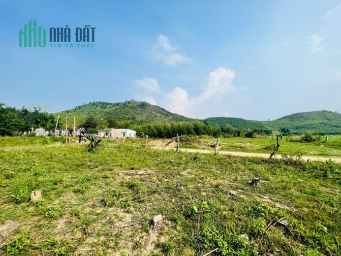 CHÍNH CHỦ CẦN BÁN ĐẤT Tại Thôn Sông Búng, Xã Ninh Tây, TX Ninh Hoà, Khánh Hoà