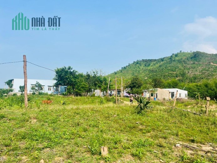 CHÍNH CHỦ CẦN BÁN ĐẤT Tại Thôn Sông Búng, Xã Ninh Tây, TX Ninh Hoà, Khánh Hoà