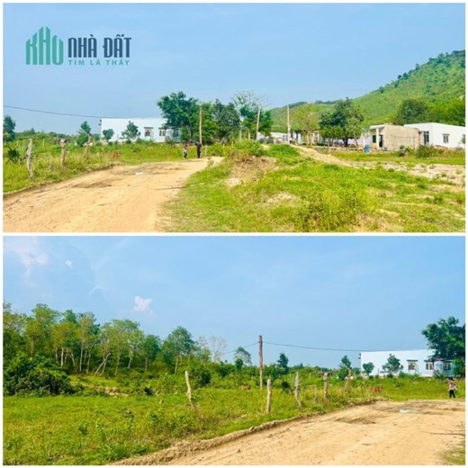 CHÍNH CHỦ CẦN BÁN ĐẤT Tại Thôn Sông Búng, Xã Ninh Tây, TX Ninh Hoà, Khánh Hoà