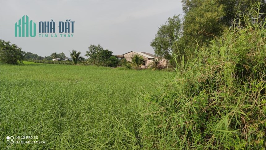 Bán lô đất thổ không dính quy hoạch vay vốn ngân hàng giá 2,8 tỷ