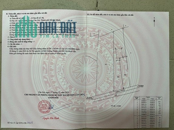 Bán lô đất đường Xương Cá Số (1 va 2) bên xã Lý Nhơn, Cần Giờ, TPHCM; Giá đầu tư 12,5 tỷ; 0913858860