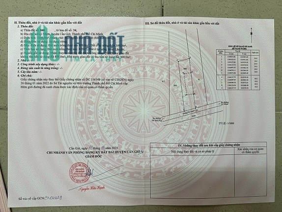 Bán lô đất đường Xương Cá Số (1 va 2) bên xã Lý Nhơn, Cần Giờ, TPHCM; Giá đầu tư 12,5 tỷ; 0913858860