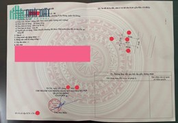 Chính chủ CẮT LỖ, bánh nhanh lô đất Đấu Giá KĐT Kiến Hưng