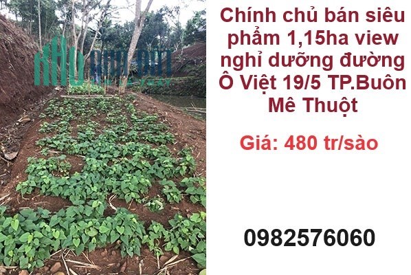CHÍNH CHỦ BÁN SIÊU PHẨM 1.15HA VIEW NGHỈ DƯỠNG ĐƯỜNG Ô VIỆT 19/5, giá 480tr/sào; 0982576060