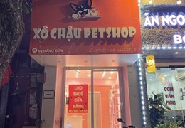 Chính chủ cần cho thuê cửa hàng tại 65 Hàng Bún, Quận Ba Đình, Hà Nội.