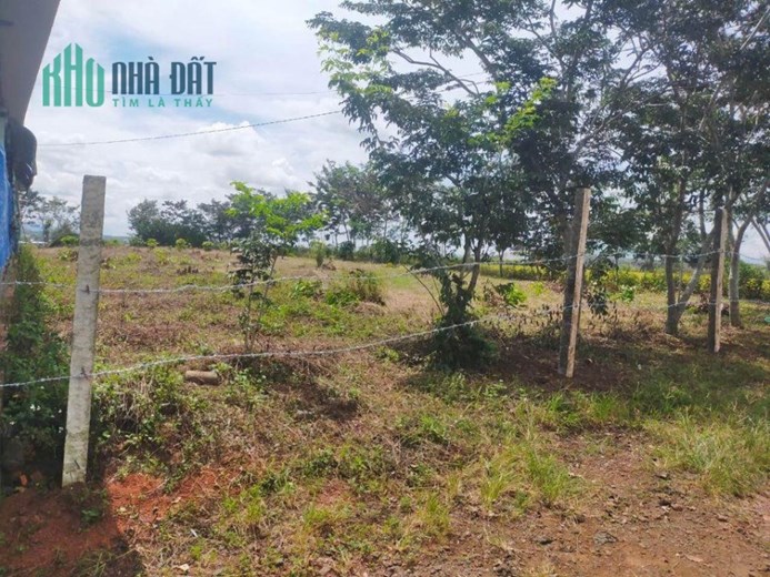 ĐẤT VỊ TRÍ  ĐẸP - GIÁ TỐT - Cần Bán Nhanh ĐẤT  Vị Trí Đắc Địa Tại  Liên Hiệp, Đức Trọng, Lâm Đồng