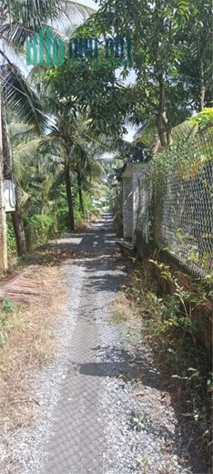 CẦN BÁN NHANH LÔ ĐẤT Mặt Tiền Vị Trí Đẹp Tại Mang Thít, Vĩnh Long