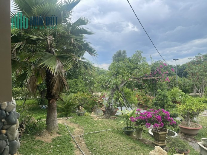 Chính Chủ Cần Bán Lô Đất xã Diên An, Huyện Diên Khánh