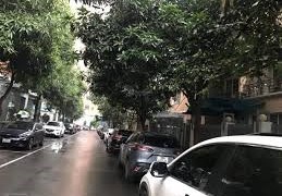 Chính chủ Bán nhà biệt thự liền kề khu đô thị nghĩa đô dt 111 m², mặt tiền 8m giá 30,6tỷ