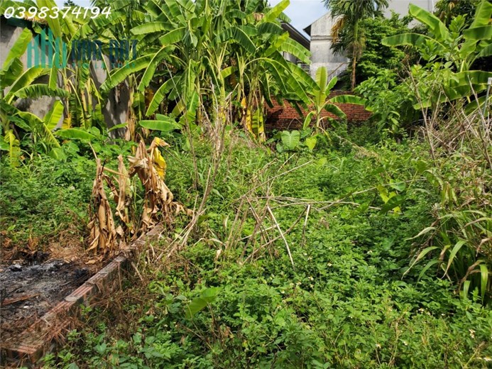 50.1m2 Vân Nội, Đông Anh sâu full thổ cư giá hơn tỉ