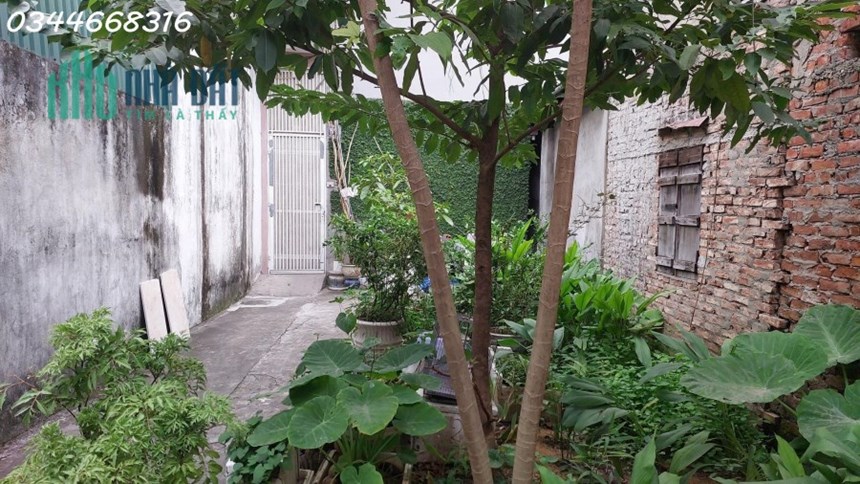 Bán đất Phúc Đồng, Long Biên, 30m2, full thổ cư, lô góc, 1,75 tỷ