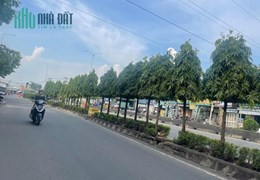 Mặt tiền kinh doanh Hà Huy Giáp ngang 4,5, giá chỉ nhỉnh 2 tỷ
