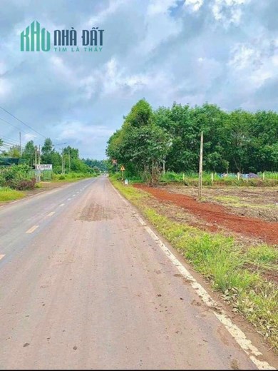 Đất sào 1000m2
