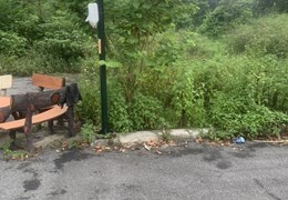 Nhỉnh hơn 1,1 tỷ có  ngay lô góc 60m vuông vắn tại Thôn Trại Láng - Cổ  Đông gần quốc lộ 21 Hòa Lạc