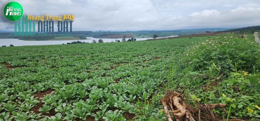 11ha Đất view hồ đẹp - Đất vườn giá rẻ Đắk Nông