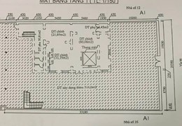 Vua mặt phố: GiẢM 300 TỶ - Mặt Phố Tông Đản 750m2 giá sau giảm còn 550 Tỷ. KD đỉnh