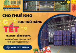 Cho thuê kho lưu trữ hàng TẾT tại HCM, Bình Dương, kho đẹp giá rẻ, đầy đủ bốc xếp