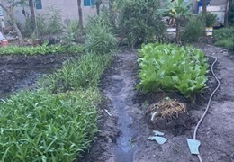 CHÍNH CHỦ CẦN BÁN 2 LÔ ĐẤT LIỀN KỀ Ở QUỐC LỘ 1 – PHƯỜNG BÌNH HƯNG HÒA B – QUẬN BÌNH TÂN – TP.HCM