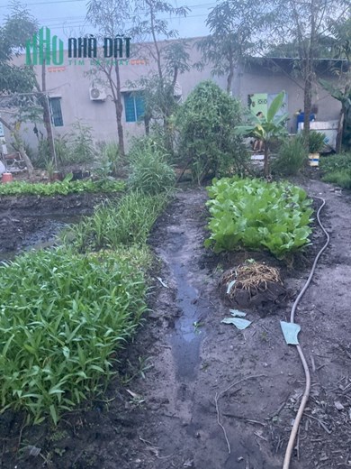 CHÍNH CHỦ CẦN BÁN 2 LÔ ĐẤT LIỀN KỀ Ở QUỐC LỘ 1 – PHƯỜNG BÌNH HƯNG HÒA B – QUẬN BÌNH TÂN – TP.HCM
