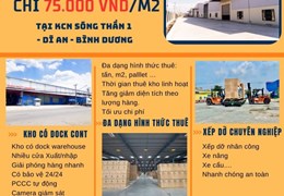 Cho thuê kho chứa hàng tại HCM, kho gần ga Sóng Thần, kho có PCCC tự động, giá rẻ