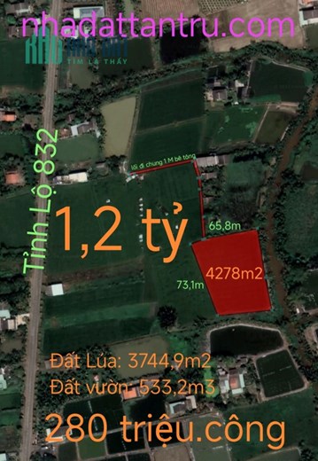 Bán gấp lô đất lúa xã Nhựt Ninh giá 1,2 tỷ