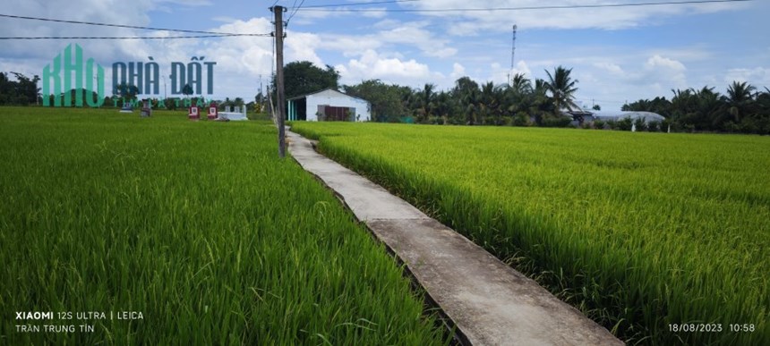 Bán gấp lô đất lúa xã Nhựt Ninh giá 1,2 tỷ