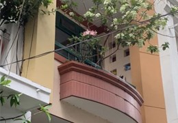 THẬT HIẾM. RẺ,MỘT CĂN RA MẶT TIỀN PHƯỜNG 5 QUẬN 5,60M-HXH 8M 2TẦNG,TIỀN THUÊ SẴN CAO