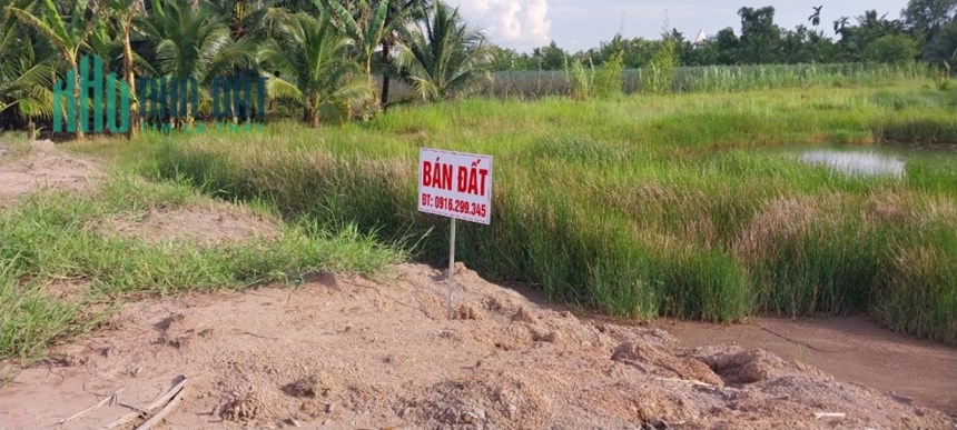 Bán 2975m2 đất MT Quy hoạch TMDV và Cây lâu năm tại TP Bến Tre, SHR 3.8tr/m2. Lh:0916299345