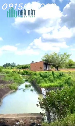Cần bán 8.326 m² đất giá đầu tư tại Xã Hòa Hiệp, Xuyên Mộc, View Suối Mát lành