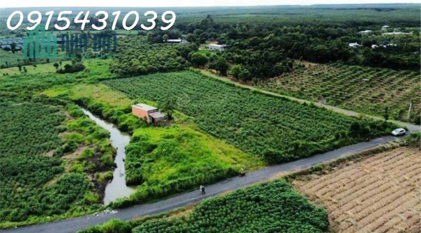 Cần bán 8.326 m² đất giá đầu tư tại Xã Hòa Hiệp, Xuyên Mộc, View Suối Mát lành