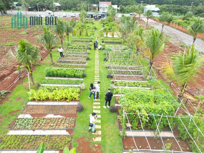 BÁN ĐẤT ĐỊNH QUÁN MẶT TIỀN ĐƯỜNG QUỐC LỘ 20