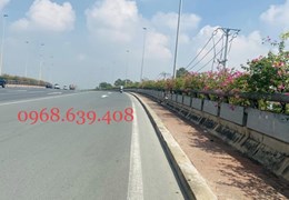 CHỈ 1,35 TỶ CÓ 45M2 ĐẤT SIÊU ĐẸP - BÁN ĐẤT TIÊN DƯƠNG GẦN CẦU NHẬT TÂN ĐÔNG ANH