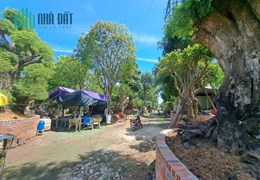 Bán Gấp Đất Mặt Tiền Bùi Công Trừng-Nhị Bình Hóc Môn 2840m2 Chỉ 38 Tỷ